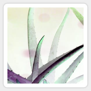 Aloe Vera Sticker